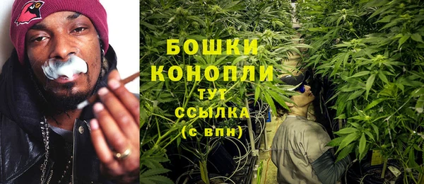 крисы Мамадыш
