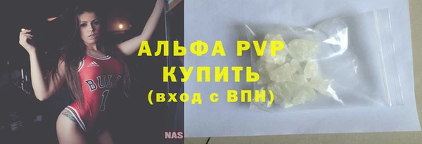 индика Новокубанск