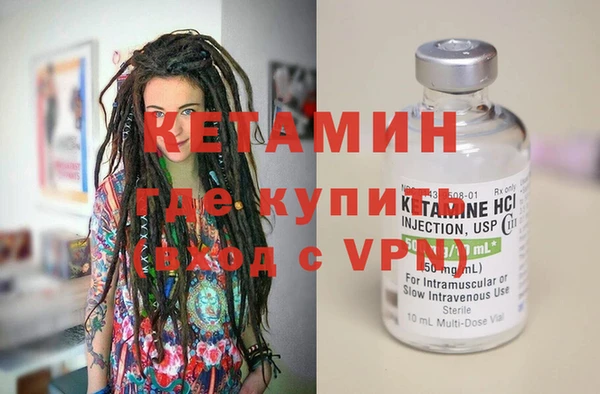 крисы Новозыбков