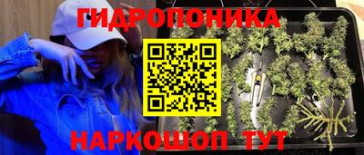 дурь Ирбит